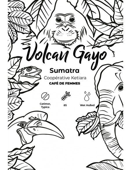 Café de projet moulu - Volcan Gayo - Sumatra