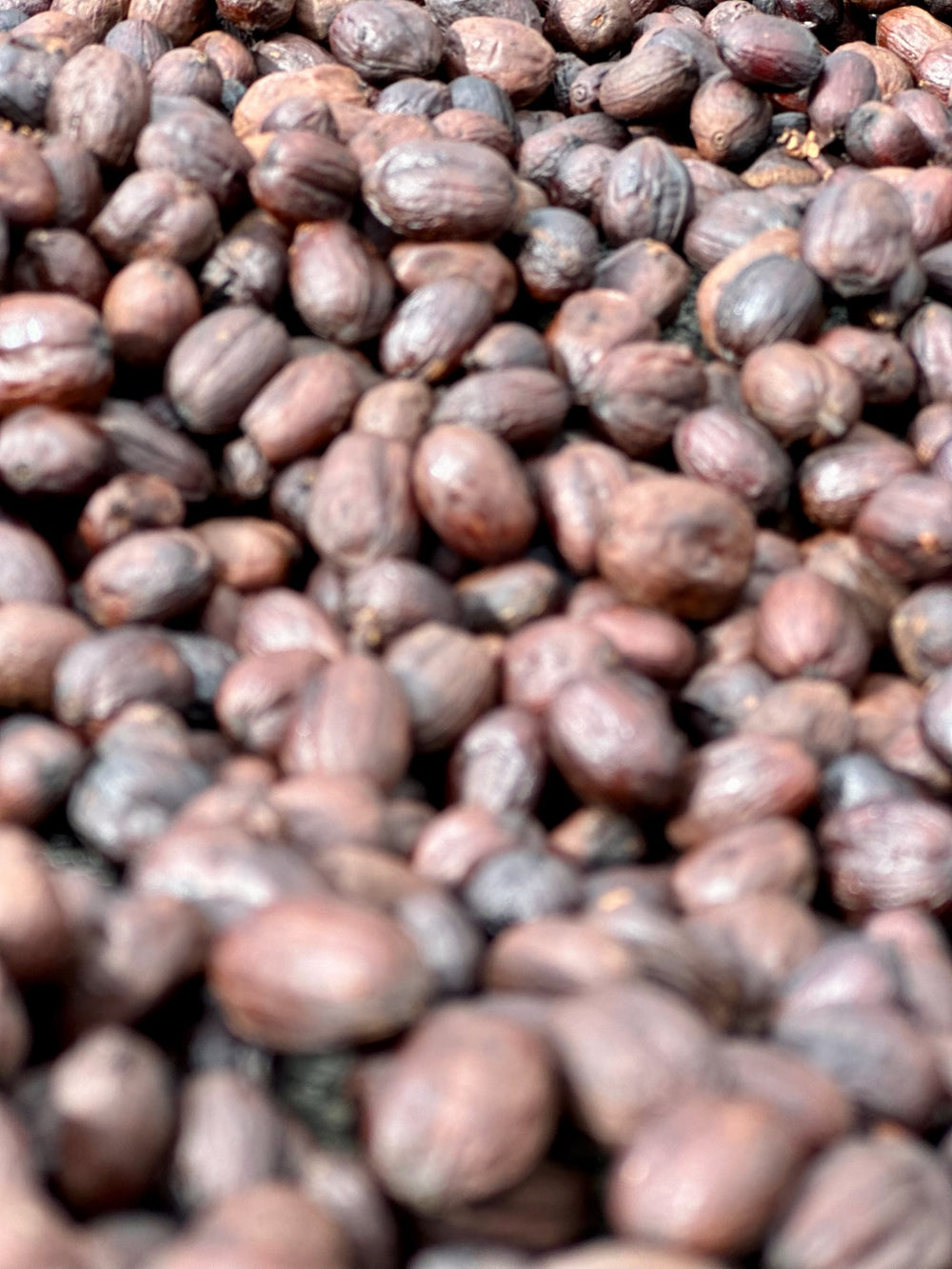 La Fábrica à la Voile