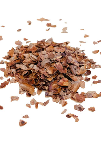 Infusion écorces de Cacao