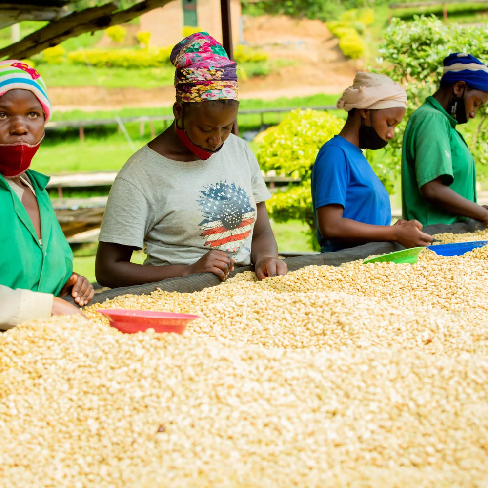 Rwanda Ikawa