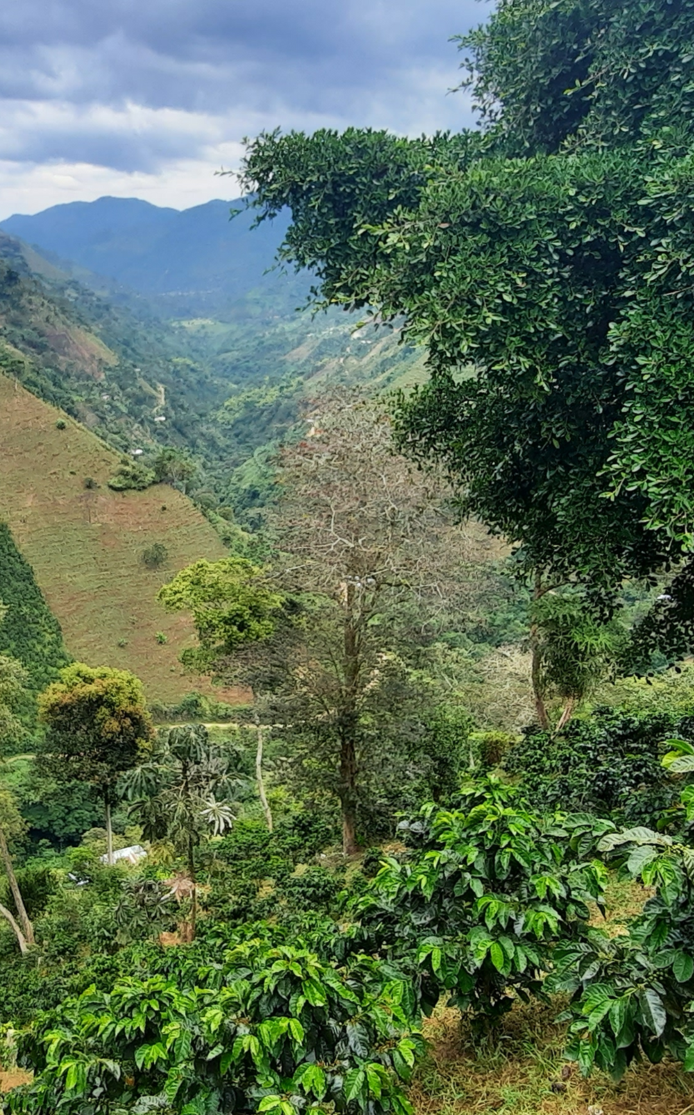 La Fábrica à la Voile