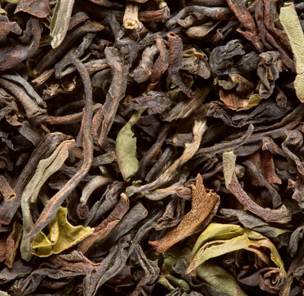 Darjeeling Jungpana GFOP