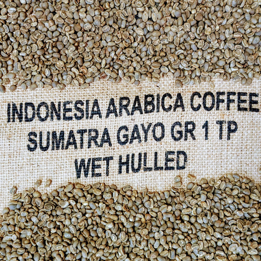 Volcan gayo