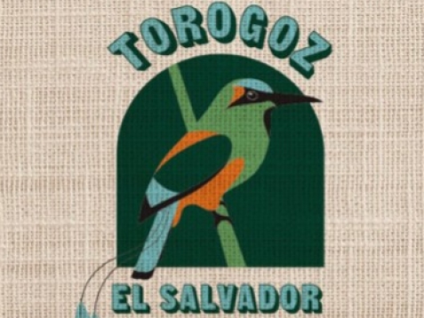 En provenance du Salvador, le Torogoz, café de saison d'Hiver 2023